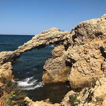 Palmeras 37 Дом отдыха Торроэлья-де-Монгри